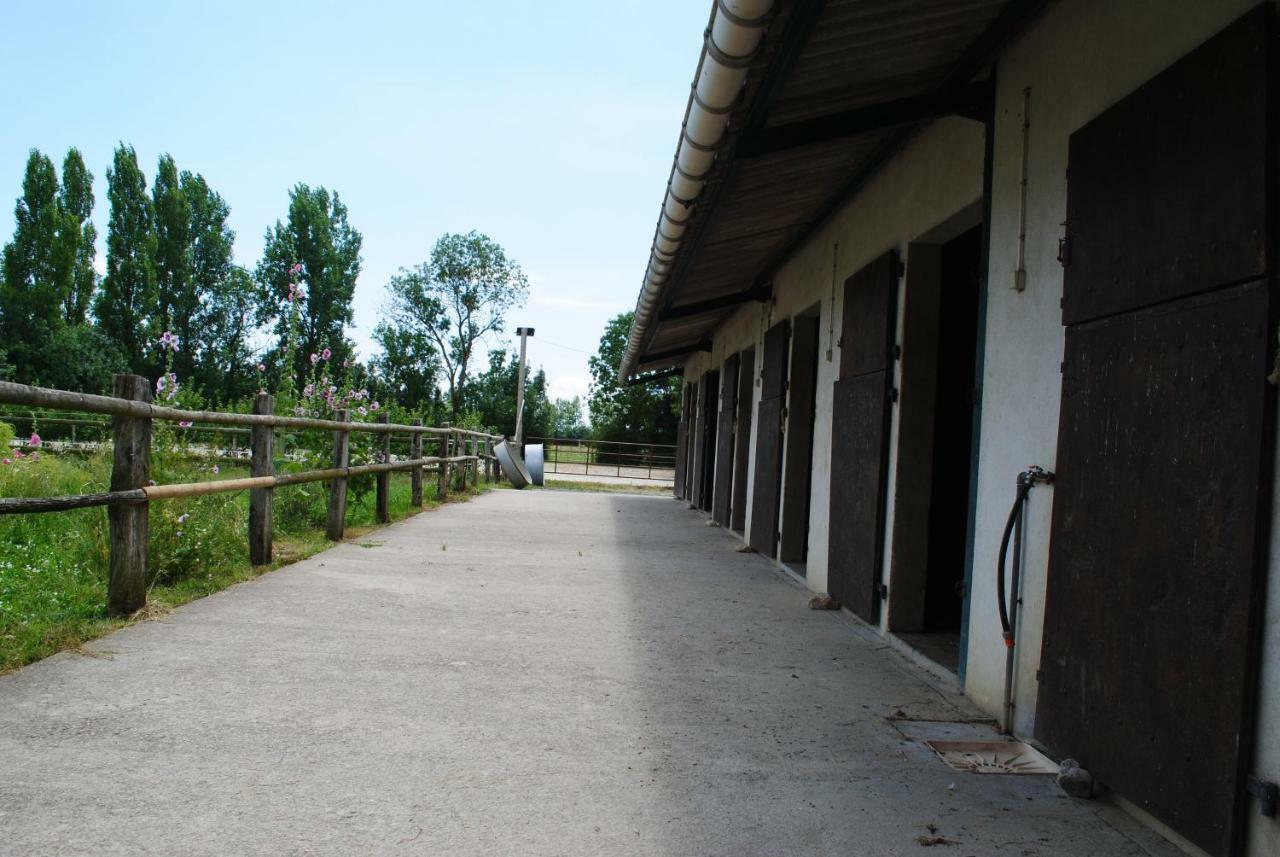Ecurie De La Grange L'Abbe Apartment Le Langon ภายนอก รูปภาพ